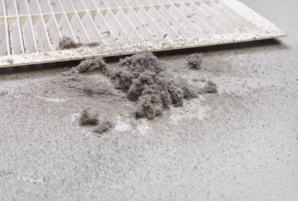 Best Air Duct Cleaning Near Me  in Mondovi, WI