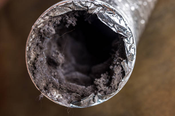 Best Air Duct Cleaning Company Near Me  in Mondovi, WI