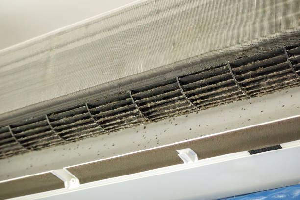 Best HVAC System Cleaning  in Mondovi, WI