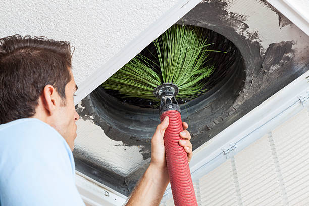 Best Home Air Vent Cleaning  in Mondovi, WI
